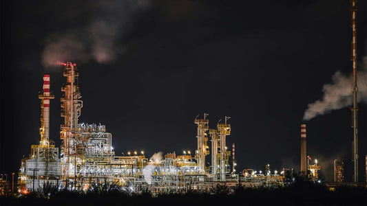 When Values Lead, Safety Follows