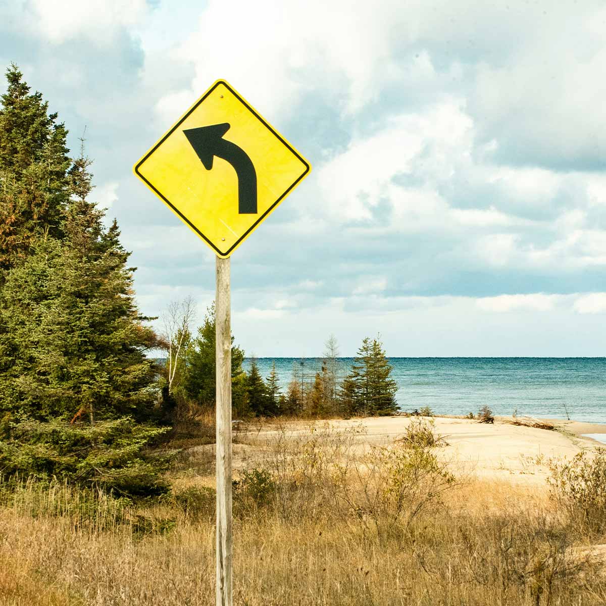 Yellow road sign with a black arrow pointing left in a natural setting with trees and water.