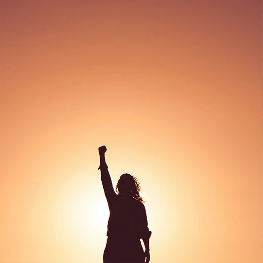 Silhouette of a person with one arm raised against an orange sunset sky
