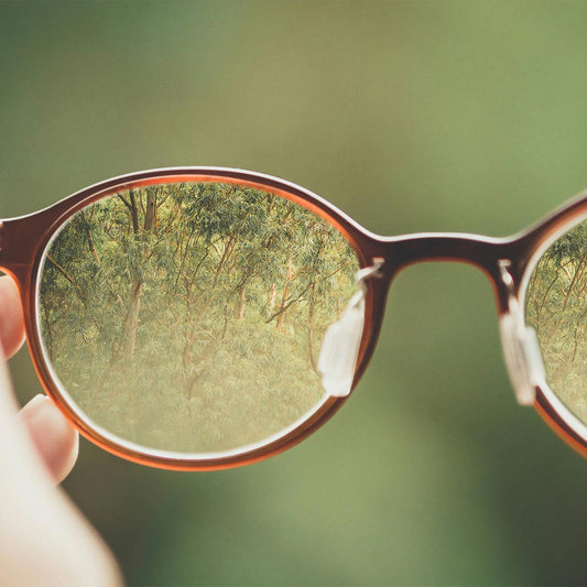 Glasses with a forest reflection in focus on a blurred green background